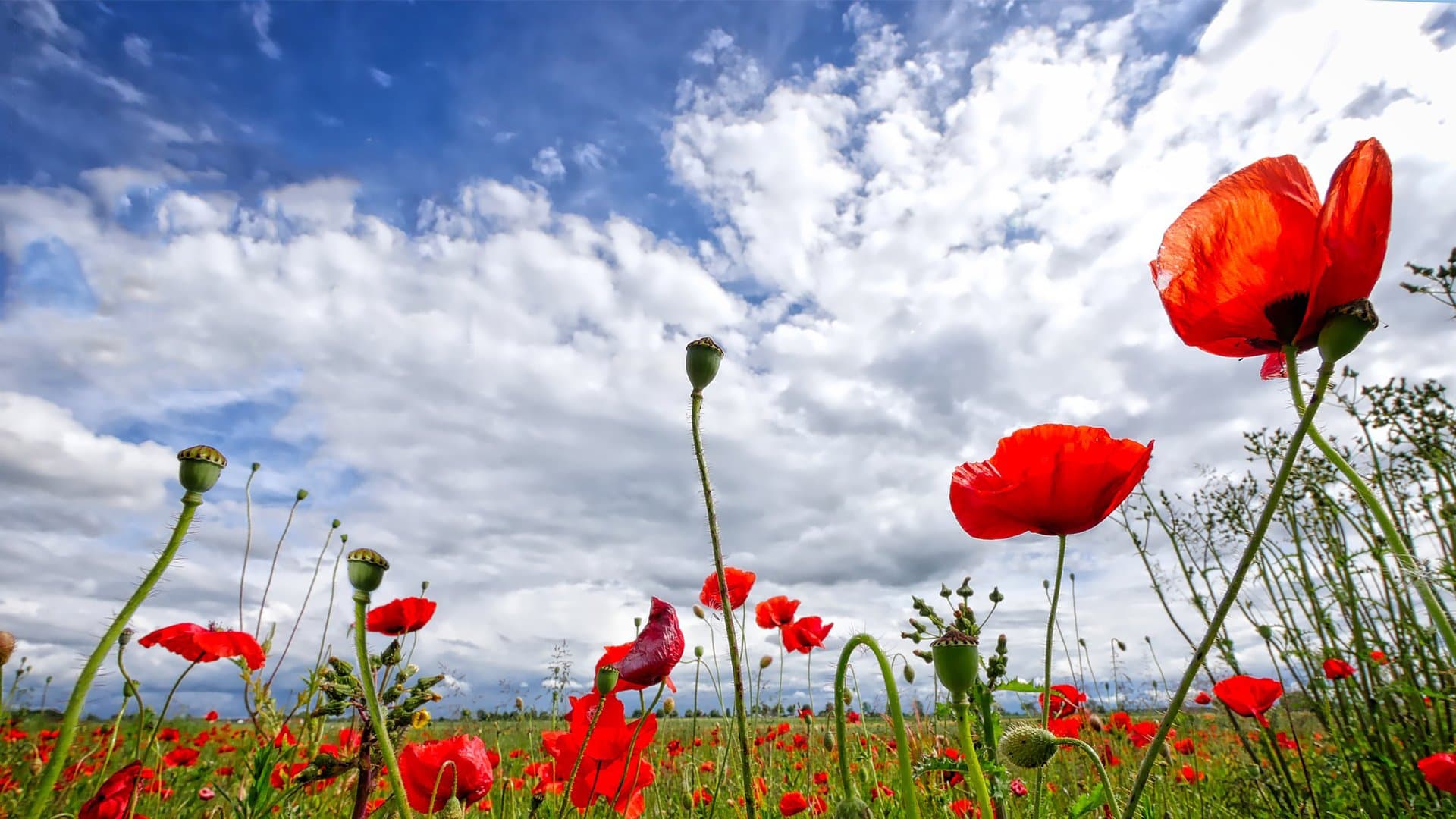 Путешествия
в радость!